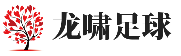 龙啸足球
